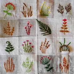 a bunch of different types of flowers and plants on a white cloth with embroidered details