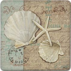 seashells and starfish on an old postcard with the word love written in it