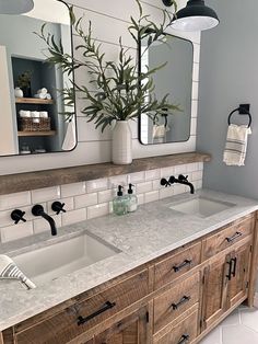 a bathroom with two sinks, mirrors and plants in vases on the counter top