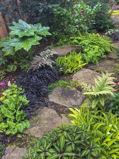 a garden filled with lots of plants and rocks