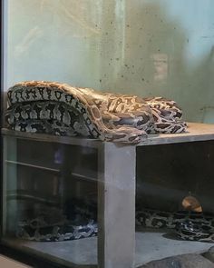 a snake skin covered bench sitting in front of a glass window with chains hanging from it's sides