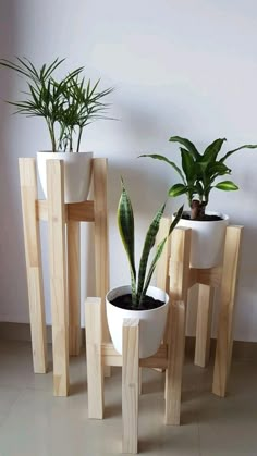 three potted plants sitting on wooden stools in front of a white wall and floor