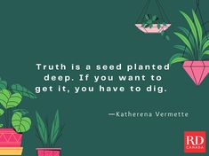 three potted plants with the quote truth is a seed planted deep if you want to get it, you have to dig