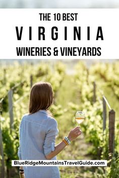 the 10 best virginia wineries and vineyards