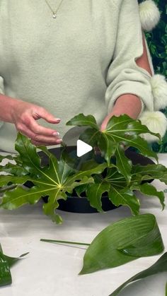 a woman is cutting up some leaves on a table with scissors and other plants in front of her