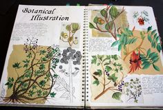 an open book with pictures of plants and flowers on it's pages, in which the words botanical illustration are written