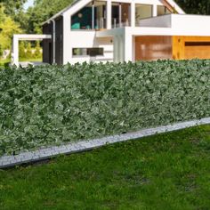 a green hedge next to a house in front of a white fence and some grass