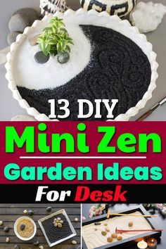 the cover of 13 diy mini - zen garden ideas for desks is shown