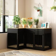 two dogs sitting in their kennels with plants on the windowsill behind them