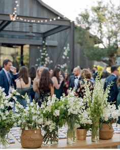 several vases filled with white flowers sitting on top of a table in front of a group of people