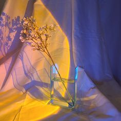 a vase with some flowers in it sitting on a white sheeted surface, casting a shadow