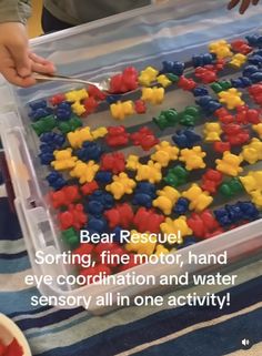 We’re Going On A Bear Hunt Toddlers, Paddington Bear Eyfs Activities, 3 Bears Activities Preschool, Bears And Hibernation Preschool Theme, Preschool Teddy Bear Activities, Hibernation Literacy Activities, Hibernation Gross Motor Activities, Toddler Bear Activities