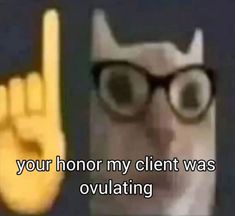 an image of a person with glasses giving the peace sign and saying, your honor my client was ovolating