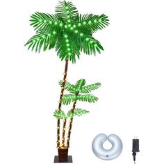 a palm tree with lights on it next to a light up donut shaped plant