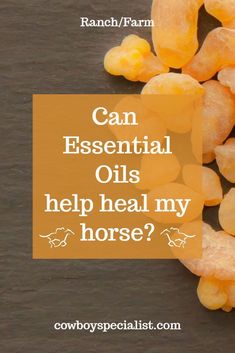 a pile of carrots with the words can essential oils help heal my horse?