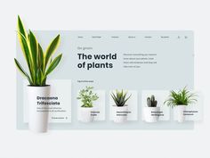 the website for plants is displayed on a white background