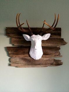 a deer head mounted to the side of a wall