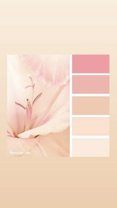 a pink flower is in the center of a color palette