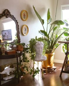 a room filled with lots of potted plants on top of wooden flooring next to a mirror