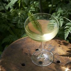 a drink in a wine glass with a green leaf on the rim sitting on top of a wooden table