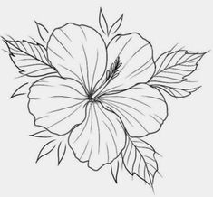 a drawing of a flower with leaves on it