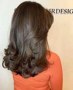 Medium Brown Hair Blowout, Retro Blowout Hair, Haircuts For 2a Hair, Haircuts For Medium Length Hair, Haircut Inspo, Bangs With Medium Hair, Hairstyles For Layered Hair