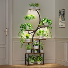 Indoor Plant Shelf, Corner Plant Shelf, Tall Plant Stand Indoor, Tall Plant Stand, Indoor Plant Shelves, Indoor Plant Stand, Corner Plant, Tall Plant Stands, Tall Plant