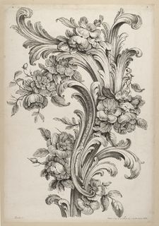 an antique drawing of flowers and leaves on a white background, vintage line drawing or engraving