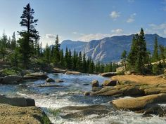 a river running through a forest filled with rocks and trees on the side of a mountain