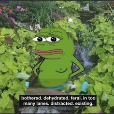 a cartoon frog is standing in the middle of some plants and has a caption that reads, bothered, dehydrated, ferall, in too many lanes, distracted, exciting