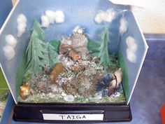 a close up of a small plastic box with plants and animals in the snow inside