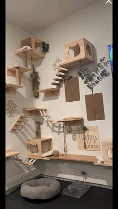 the cat tree is made from wood and has several shelves on each side with various items