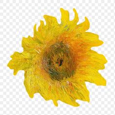 a yellow sunflower on a white background