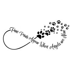 paw prints are the most important part of any animal's life