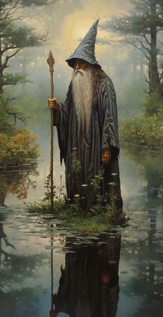 a painting of an old wizard standing in the water