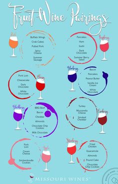 a poster with different types of wine glasses and the words fruit wine pairings on it