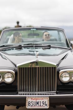 two dogs are sitting in the back of a black car with chrome grill grilles