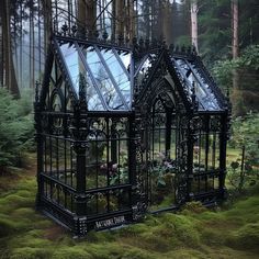 a small black building in the middle of a forest with moss growing on the ground