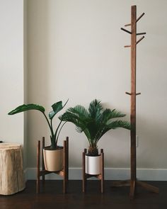 three potted plants are sitting on the floor next to a tall wooden tree stump