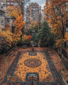 an outdoor basketball court surrounded by trees in the middle of a park with lots of leaves on it