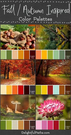 the fall autumn inspired color palettes