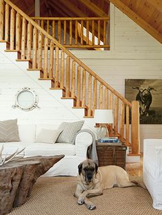 a dog laying on the floor in front of a living room with white furniture and wooden stairs