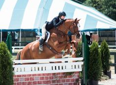 a person riding on the back of a brown horse jumping over an obstacle at a competition