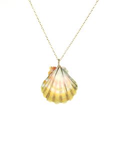 Sunrise shell necklace - Hawaiian shell - langfords pecten - sea shell necklace - a wire wrapped moonrise shell on a 14k gold vermeil chain - SH60 A stunning, one a kind, rare gem... A wire wrapped sunrise shell hanging from a 14k gold vermeil chain. Please feel free to select a different length chain if you prefer and your favorite shell as shown in the fourth photo. Legend has it that these shells were once the exclusive property of Hawaiian royalty. Sunrise shells are small scallops of the bi Yellow Gold Shell Necklace For Gift, Yellow Gold Shell-shaped Necklace Gift, Wire Wrapped Shell Necklaces In Shell Shape, Yellow Gold Shell Jewelry For Beach, Wire Wrapped Shell Necklaces, Wire Wrapped Shell Necklace Gift, Shell Shaped Wire Wrapped Jewelry Gift, Wire Wrapped Shell Jewelry As Gift, Wire Wrapped Shell Jewelry For Gift