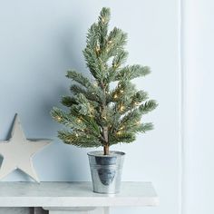 a small christmas tree in a pot next to a white star on a shelf against a blue wall