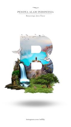 the letter b is made up of photoshopped images and text, with birds flying around