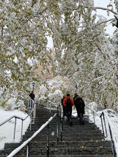 several people walking up some stairs in the snow