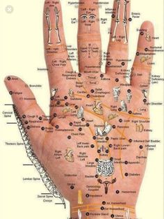 Bolesti Chrbta, Hand Reflexology, Reflexology Chart, Reflexology Massage, Foot Reflexology, Acupressure Points, Trening Abs, Massage Techniques, Pressure Points