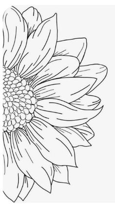 a black and white drawing of a sunflower