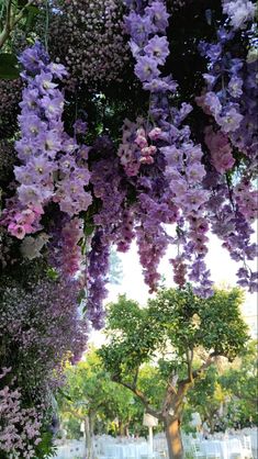 purple flowers are hanging from the trees in front of tables set up for an event